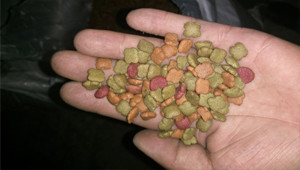 cat food sample