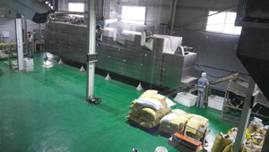 fish food factory