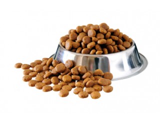 Dry Dog Food