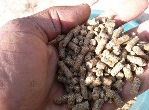 6mm-catfish-feed-pellets